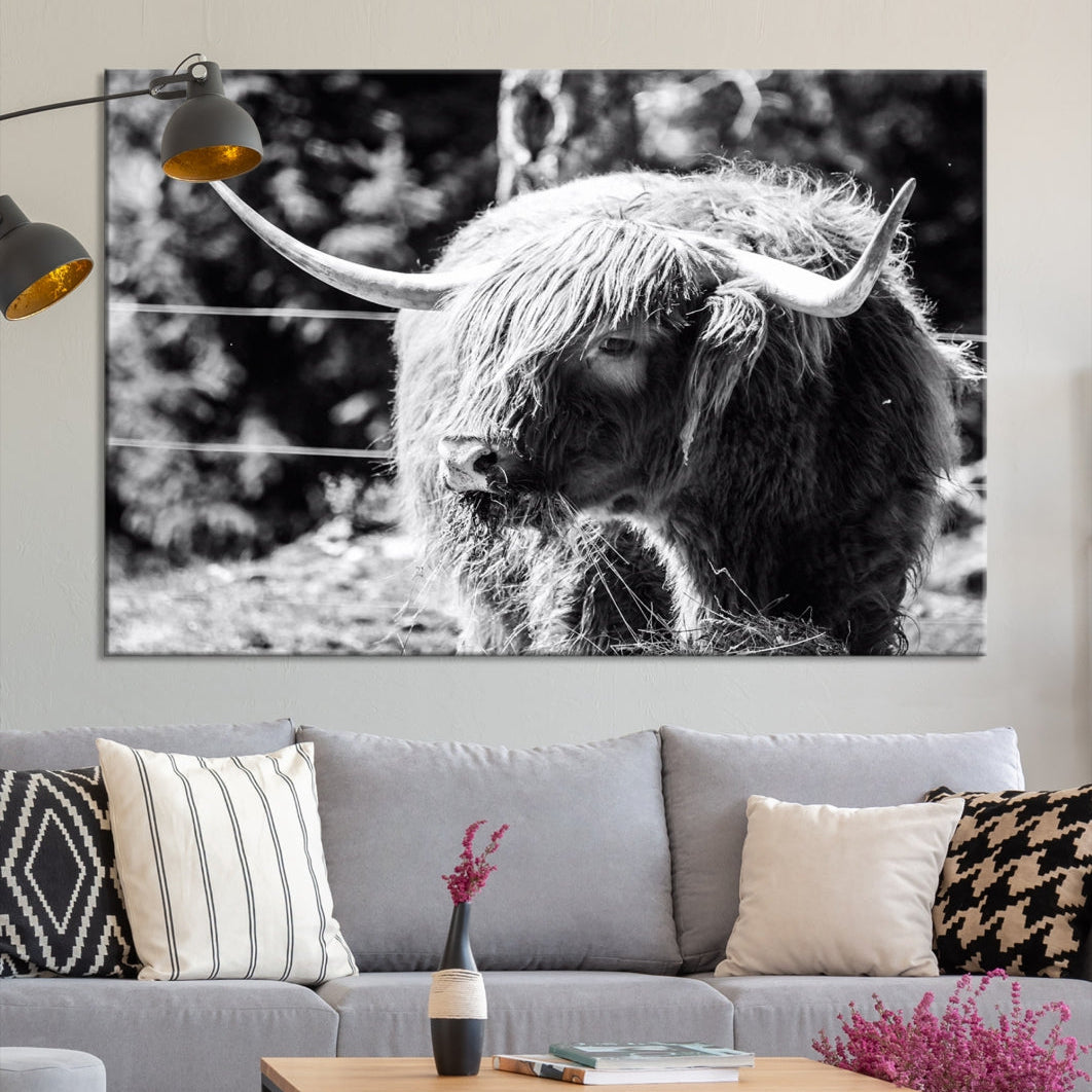 Black and White Highland Cow Canvas Wall Art Print Nature Photograph Canvas Art Large Cow Print Panel Canvas Set