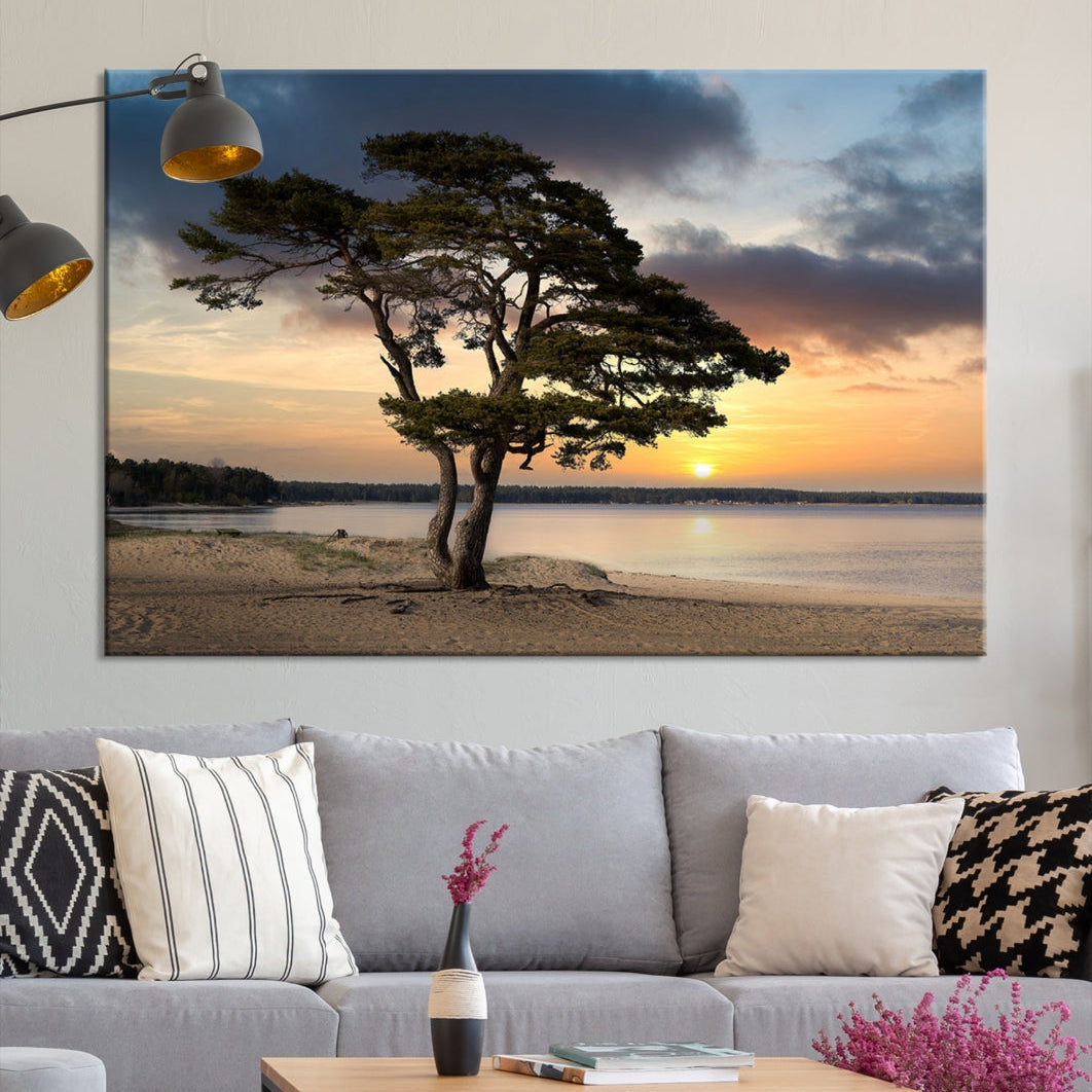 Big Tree Beach Coastal Sunset Wall Art Canvas Print Framed