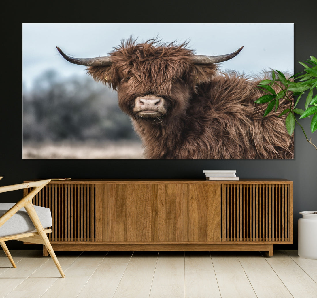 Fluffy Highland Cow Photograph Large Wall Art Canvas Print Cute Animals Picture Wall Decor Artwork for Living Room Farmhouse Printable Art Housewarming Gift Modern Home Art Decor