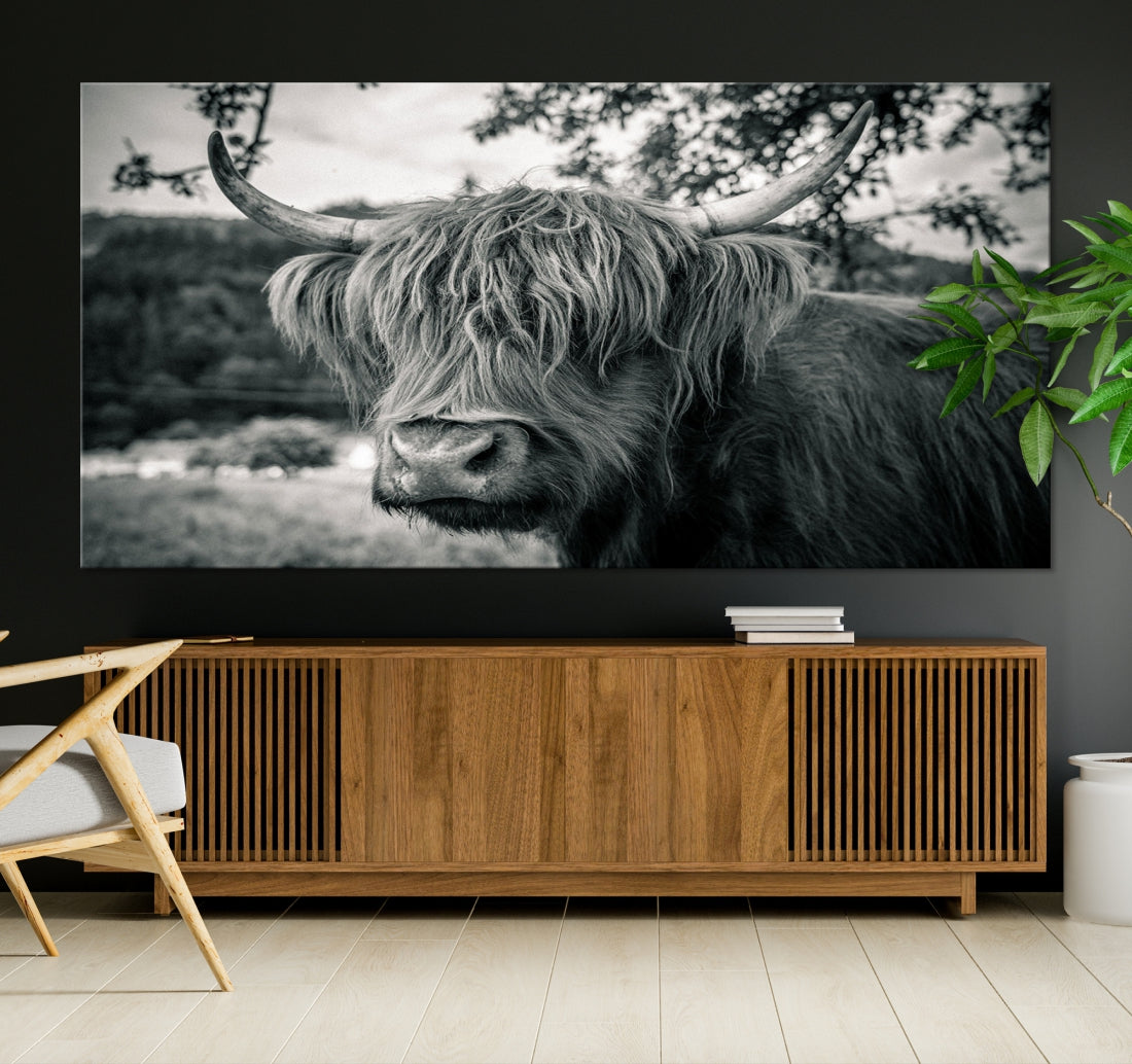 Beautiful Highland Cow Wall Art Large Canvas Print Black and White Wall Decor