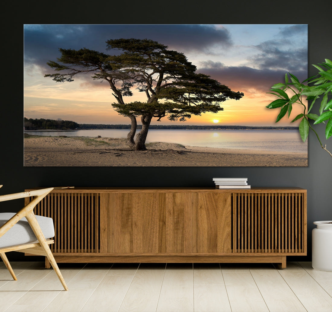 Big Tree Beach Coastal Sunset Wall Art Canvas Print Framed