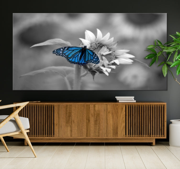 Pretty Blue Butterfly Black and White Canvas Wall Art Print Framed Ready to Hang