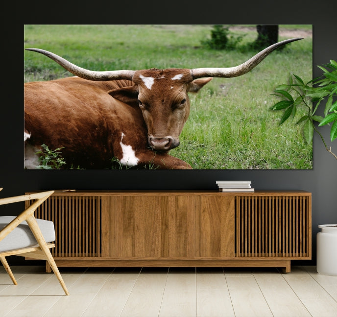 Big Horn Cow Animal Large Wall Art Canvas Print