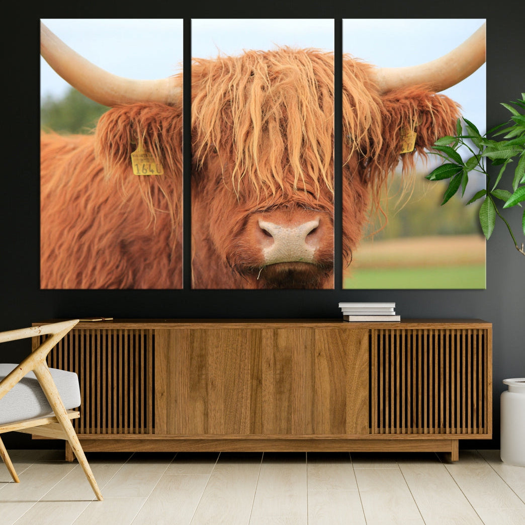 Highland Cow Close-up Canvas Wall Art Print Multi Panel Extra Large Canvas Set Framed Ready to Hang Artwork