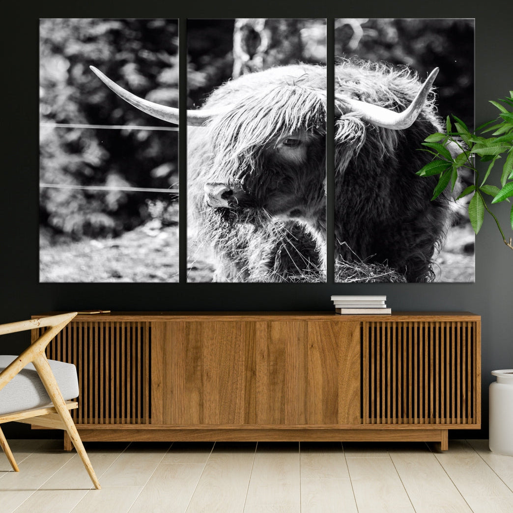 Black and White Highland Cow Canvas Wall Art Print Nature Photograph Canvas Art Large Cow Print Panel Canvas Set