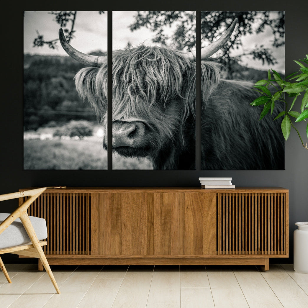 Beautiful Highland Cow Wall Art Large Canvas Print Black and White Wall Decor