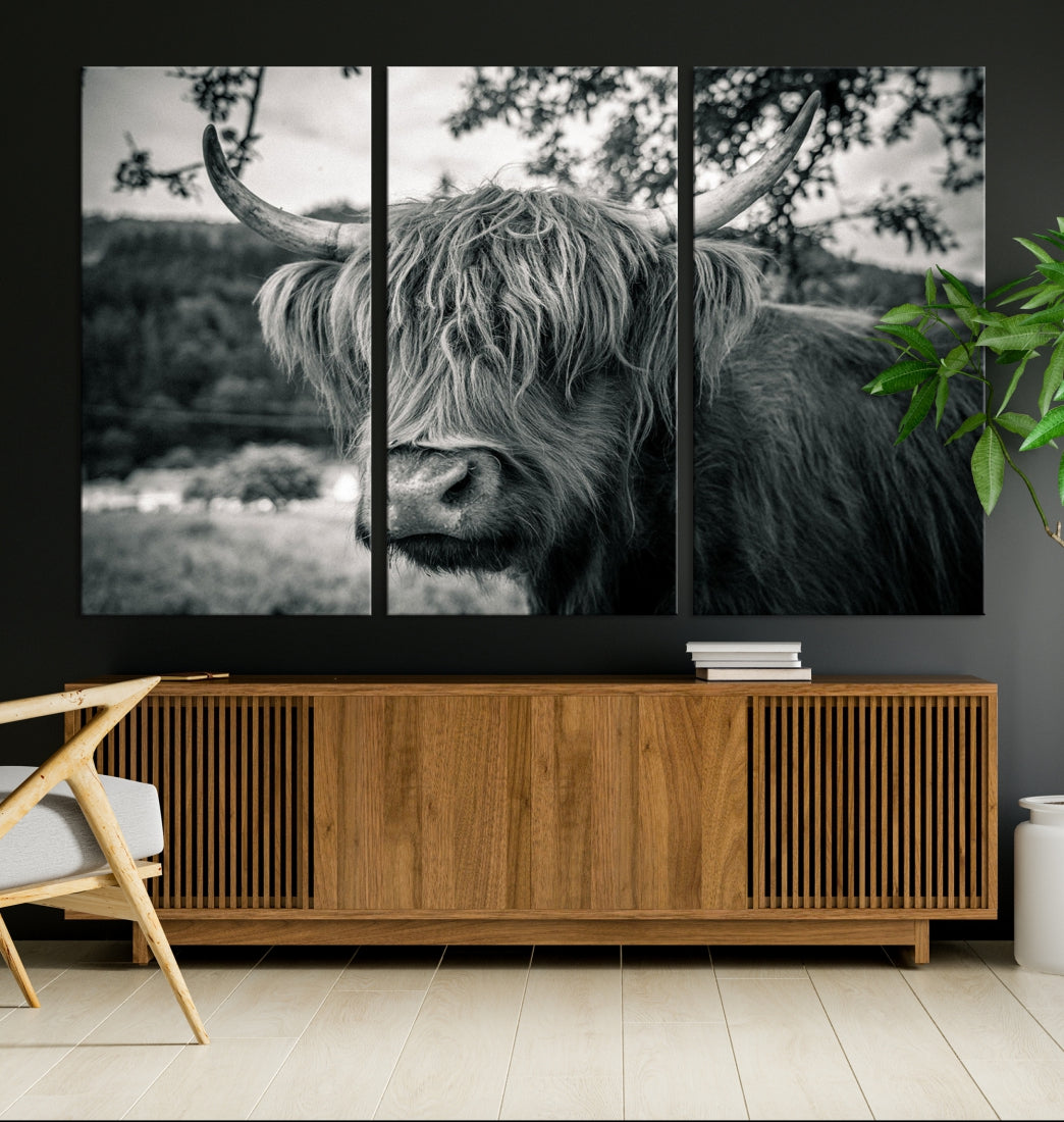 Beautiful Highland Cow Wall Art Large Canvas Print Black and White Wall Decor