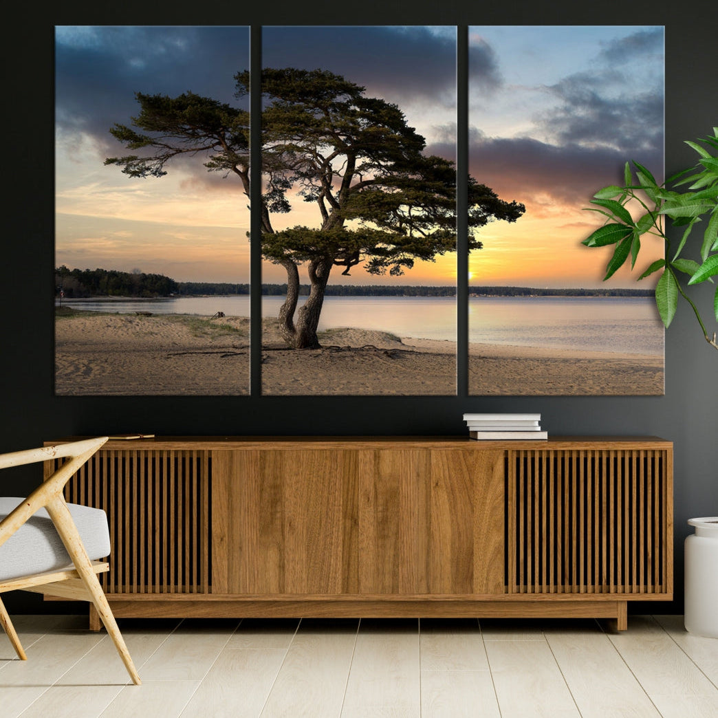 Big Tree Beach Coastal Sunset Wall Art Canvas Print Framed