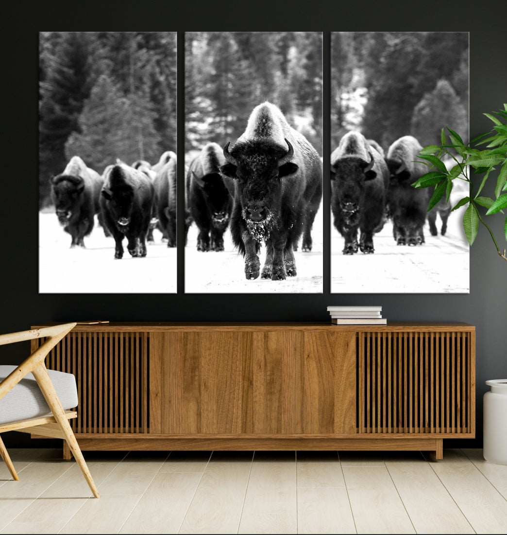 Buffalo Herd Wall Art Canvas Print, Bison Canvas Print