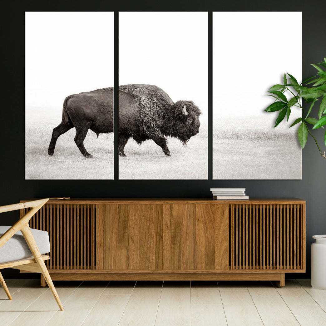 Alone Bison Wall Art Canvas Print, Cow Wall Art, Buffalo Artwork