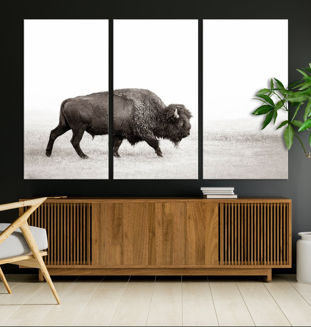 Alone Bison Wall Art Canvas Print, Cow Wall Art, Buffalo Artwork