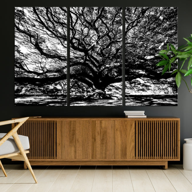 Black and White Big Oak Tree Canvas Wall Art Nature Print Wall Decor