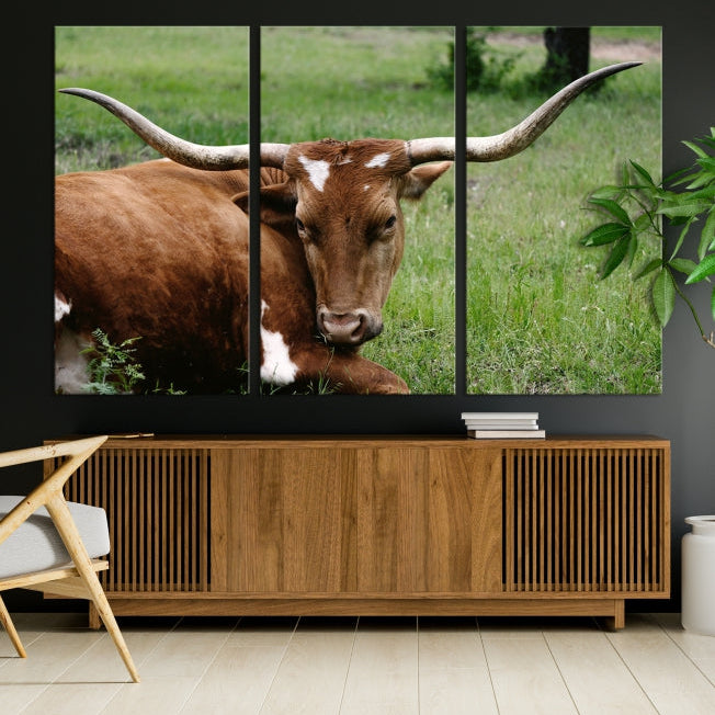 Big Horn Cow Animal Large Wall Art Canvas Print