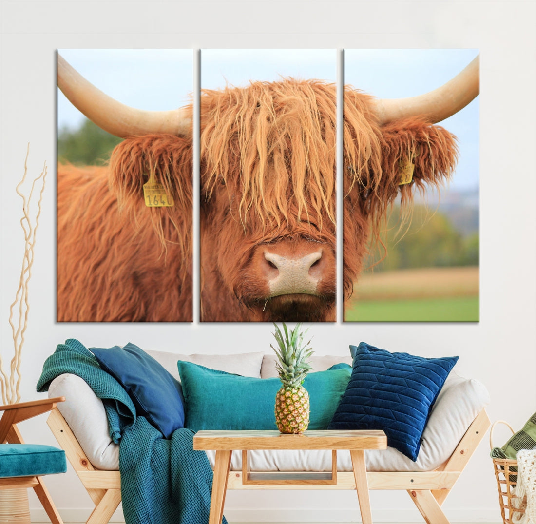 Highland Cow Close-up Canvas Wall Art Print Multi Panel Extra Large Canvas Set Framed Ready to Hang Artwork