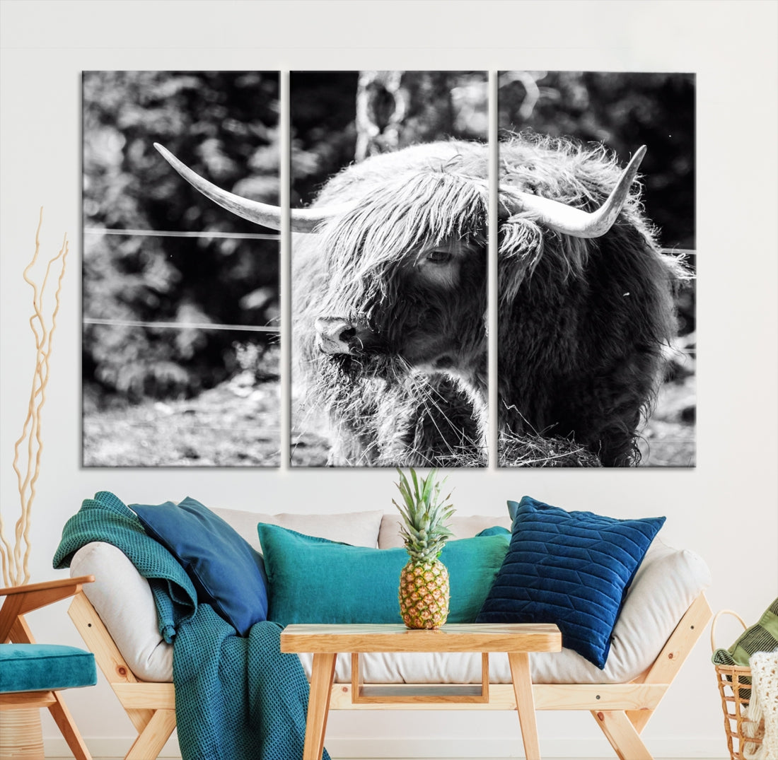 Black and White Highland Cow Canvas Wall Art Print Nature Photograph Canvas Art Large Cow Print Panel Canvas Set