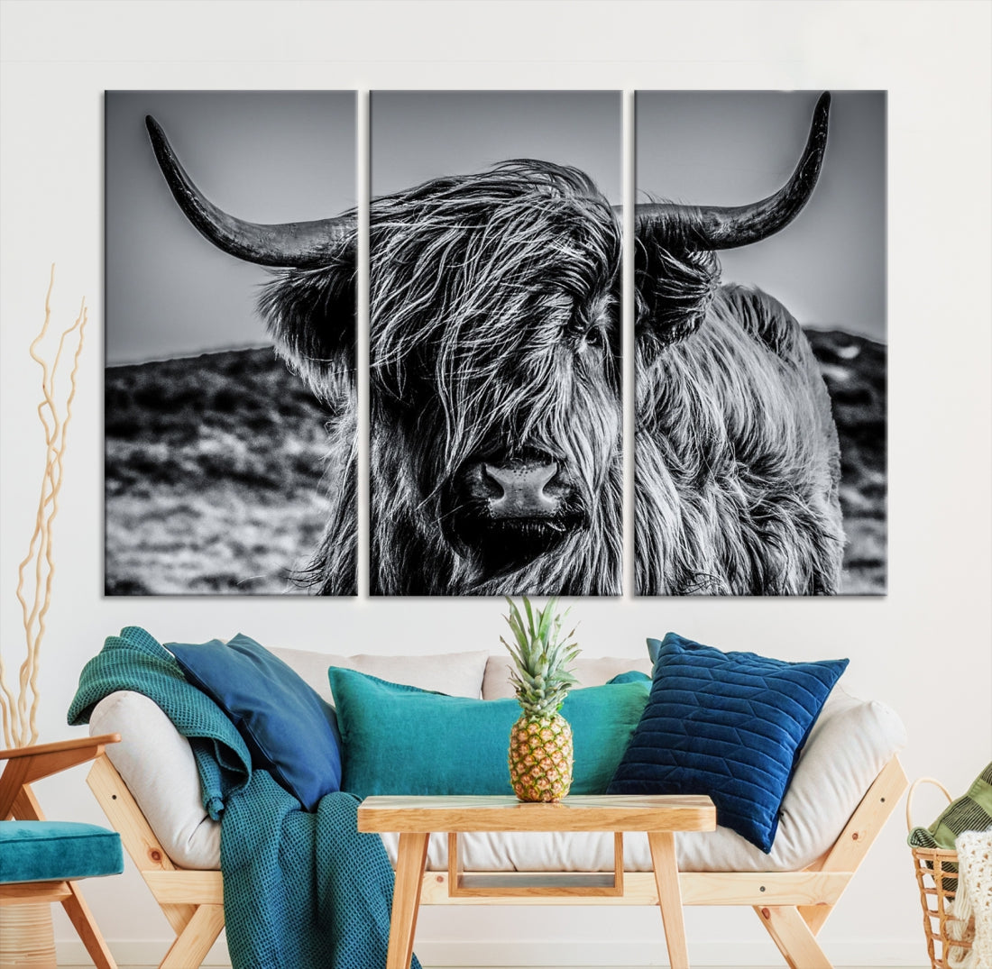 Black and White Extra Large Cow Wall Art Scottish Cattle Animal Canvas Print