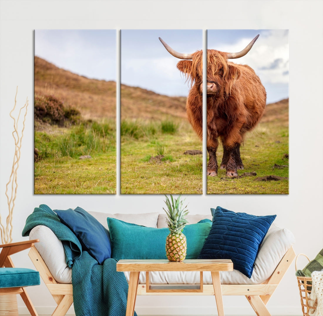 Highland Cow Large Animal Canvas Wall Art Texas Cow Canvas Art Cattle Photograph Art Canvas Picture Animal Art Print Home Decor Farmhouse Art Multi Panel Framed Wall Art Canvas Print