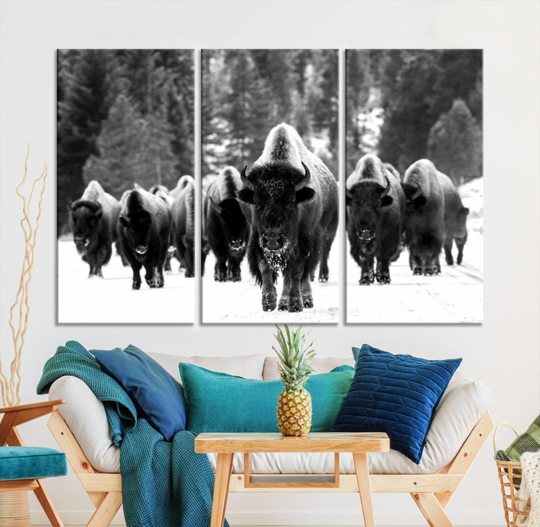 Buffalo Herd Wall Art Canvas Print, Bison Canvas Print