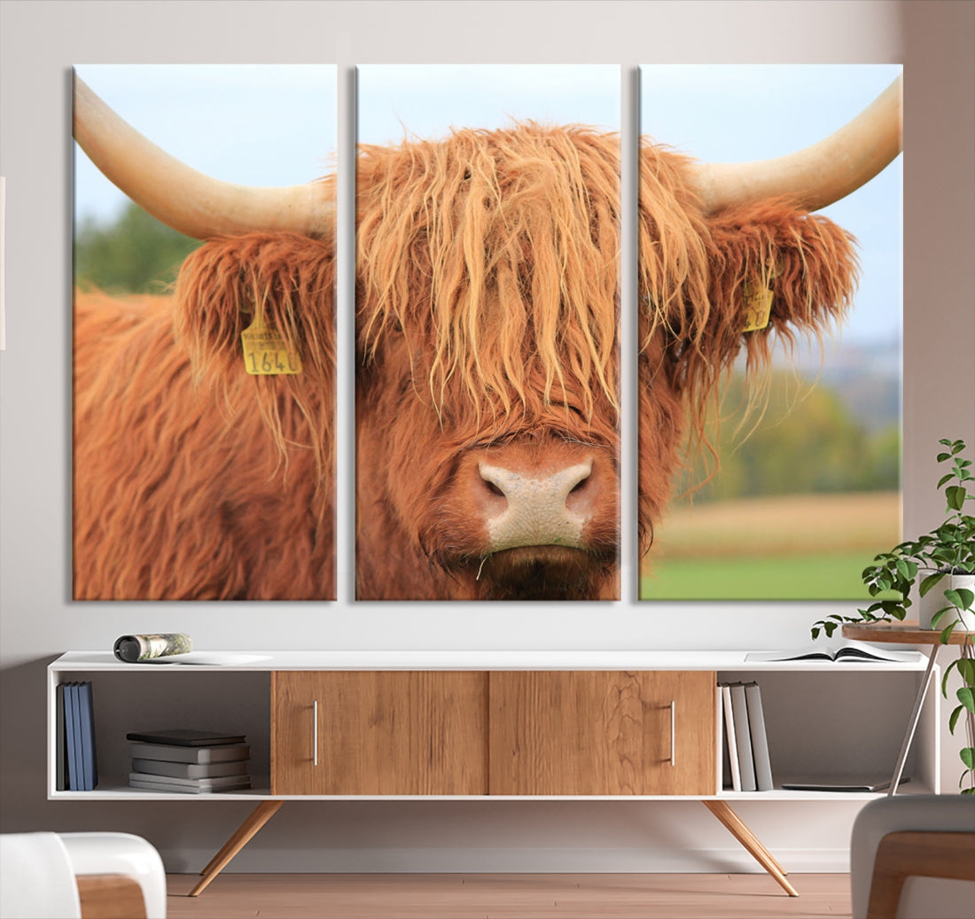 Highland Cow Close-up Canvas Wall Art Print Multi Panel Extra Large Canvas Set Framed Ready to Hang Artwork