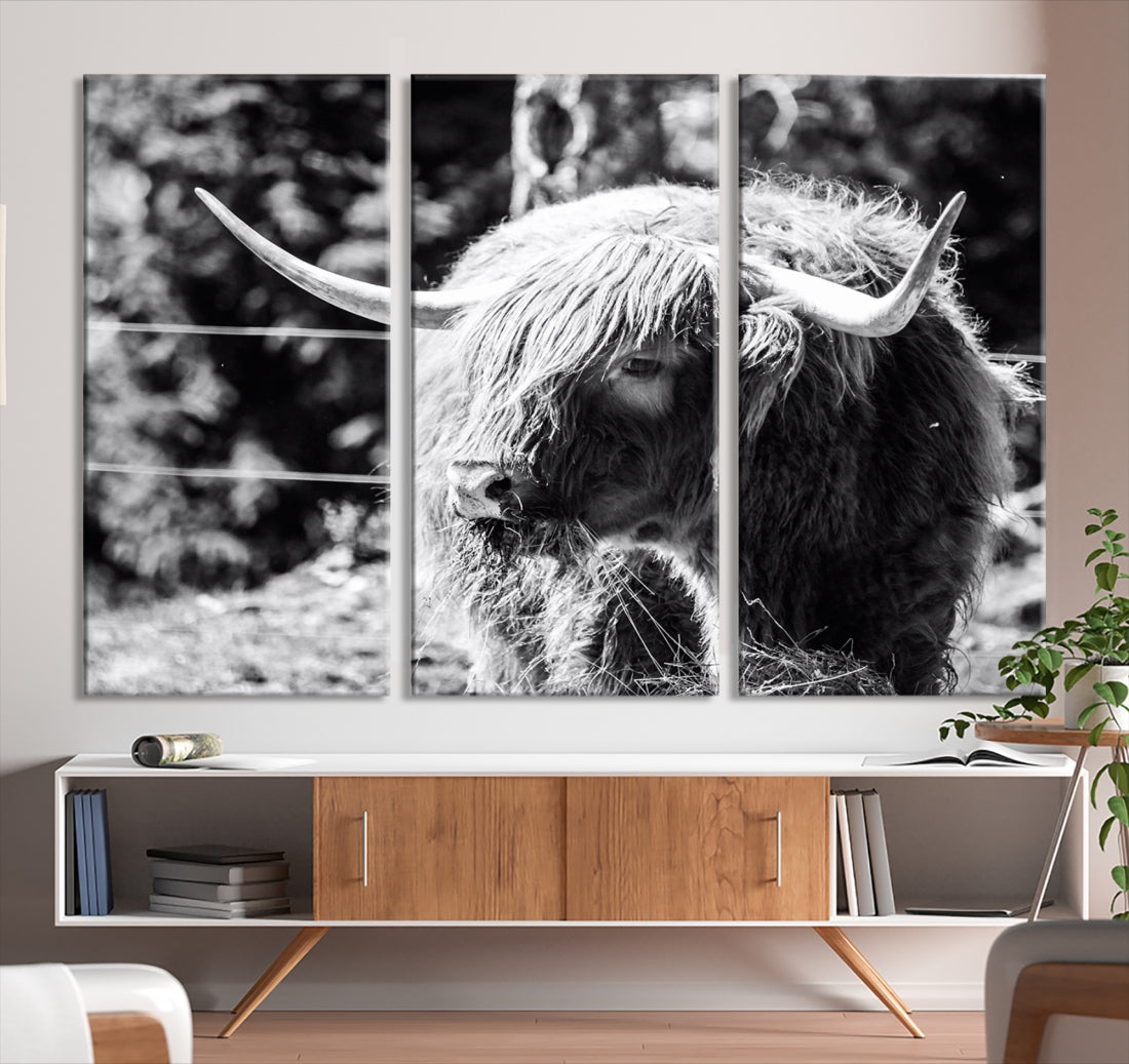 Black and White Highland Cow Canvas Wall Art Print Nature Photograph Canvas Art Large Cow Print Panel Canvas Set