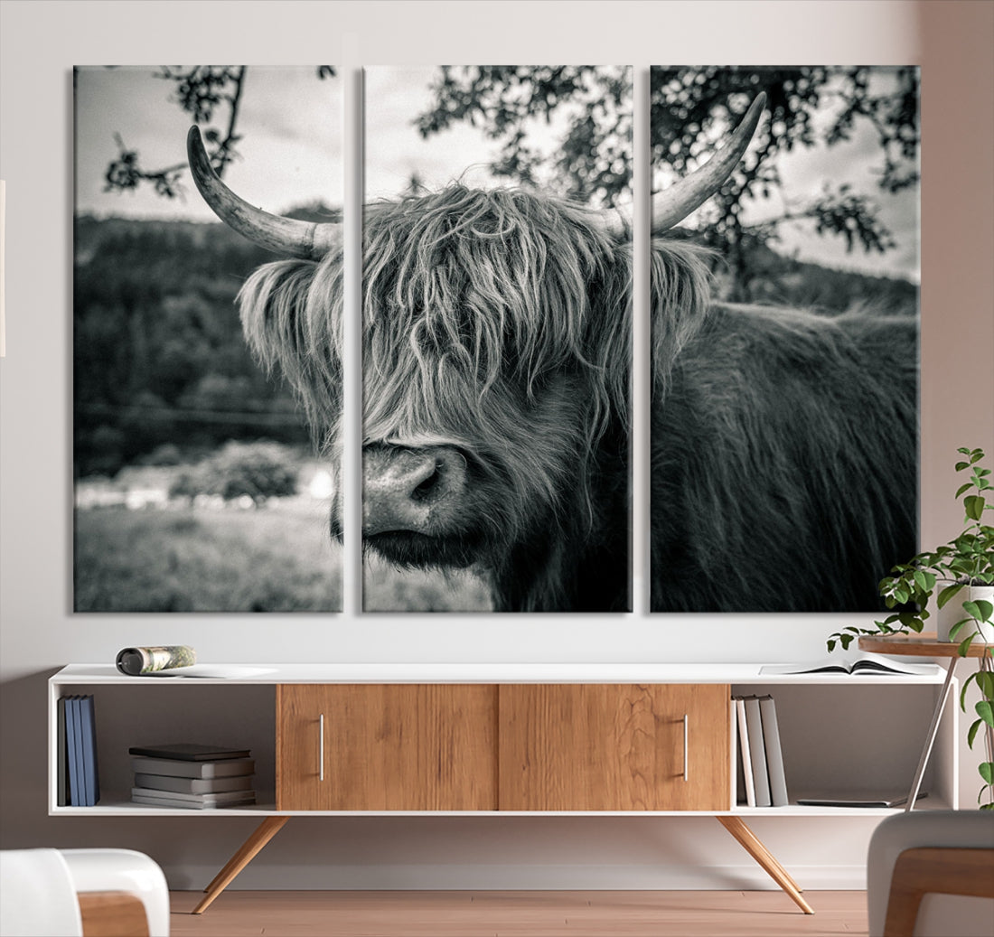 Beautiful Highland Cow Wall Art Large Canvas Print Black and White Wall Decor