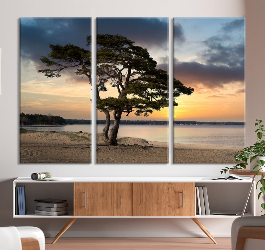 Big Tree Beach Coastal Sunset Wall Art Canvas Print Framed