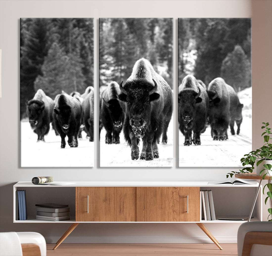 Buffalo Herd Wall Art Canvas Print, Bison Canvas Print