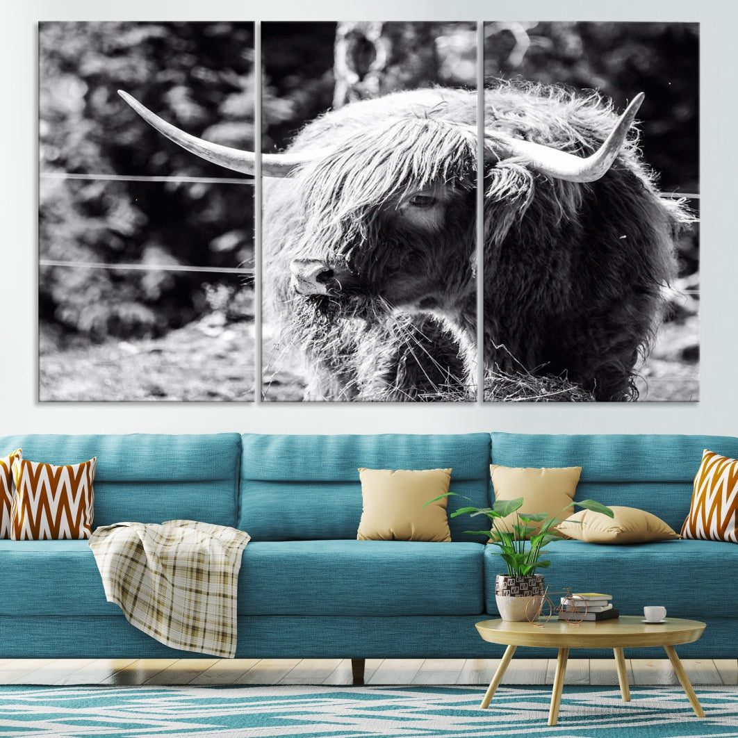 Black and White Highland Cow Canvas Wall Art Print Nature Photograph Canvas Art Large Cow Print Panel Canvas Set