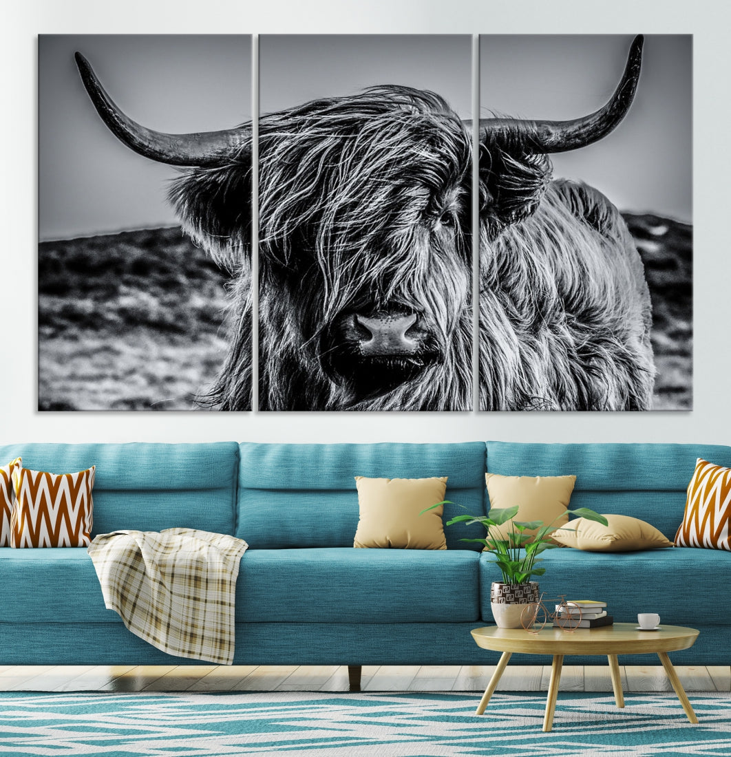 Black and White Extra Large Cow Wall Art Scottish Cattle Animal Canvas Print