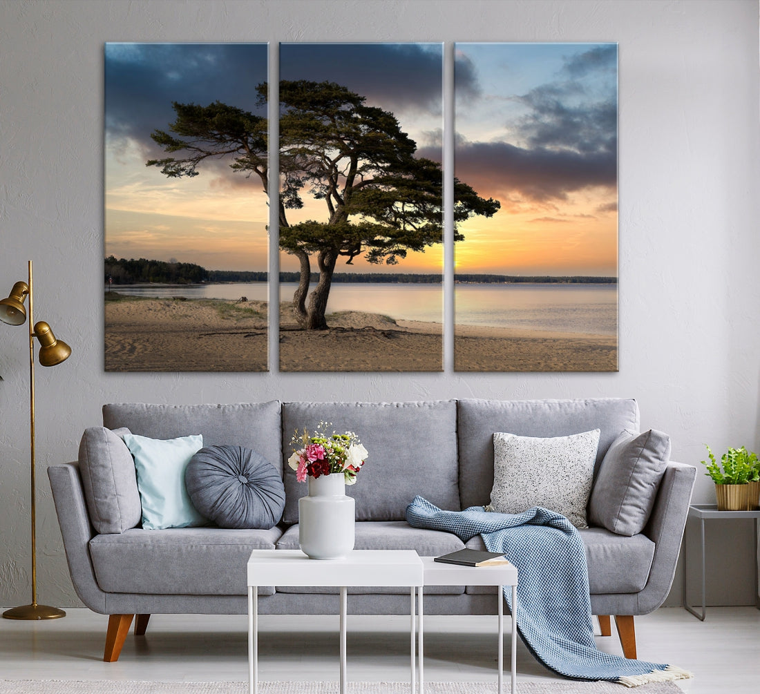 Big Tree Beach Coastal Sunset Wall Art Canvas Print Framed