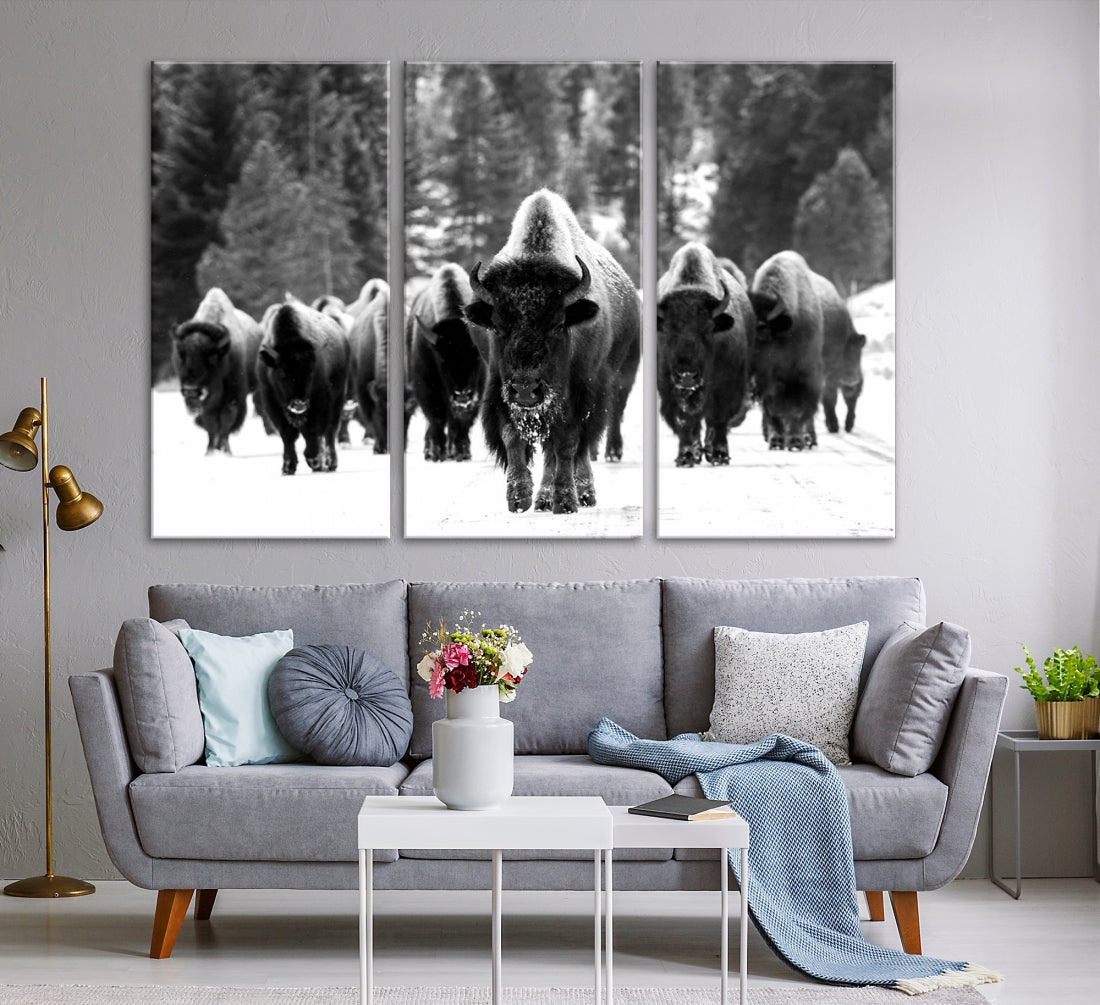 Buffalo Herd Wall Art Canvas Print, Bison Canvas Print