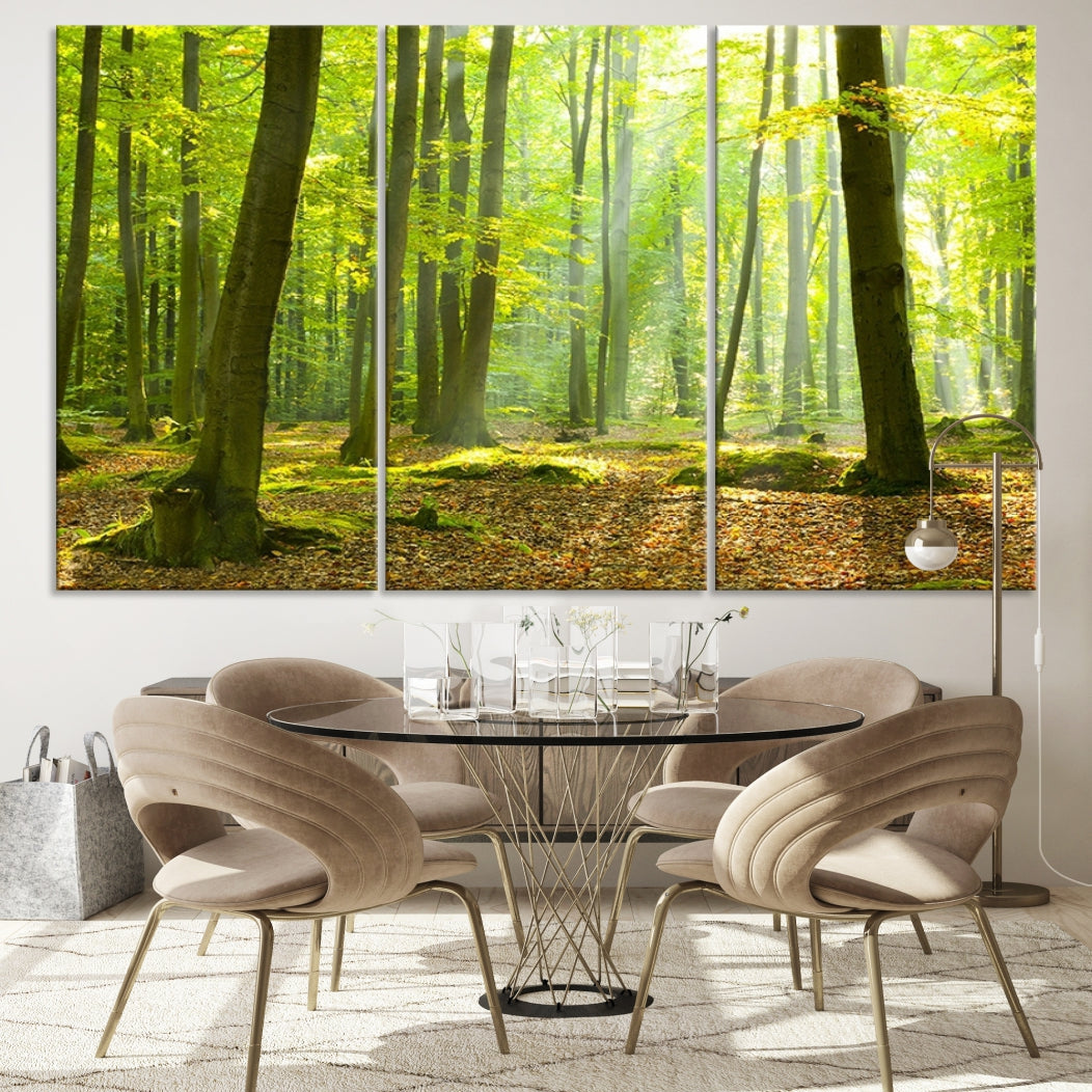 Sunshine in Green Forest Large Tree Wall Art Landscape Canvas Print