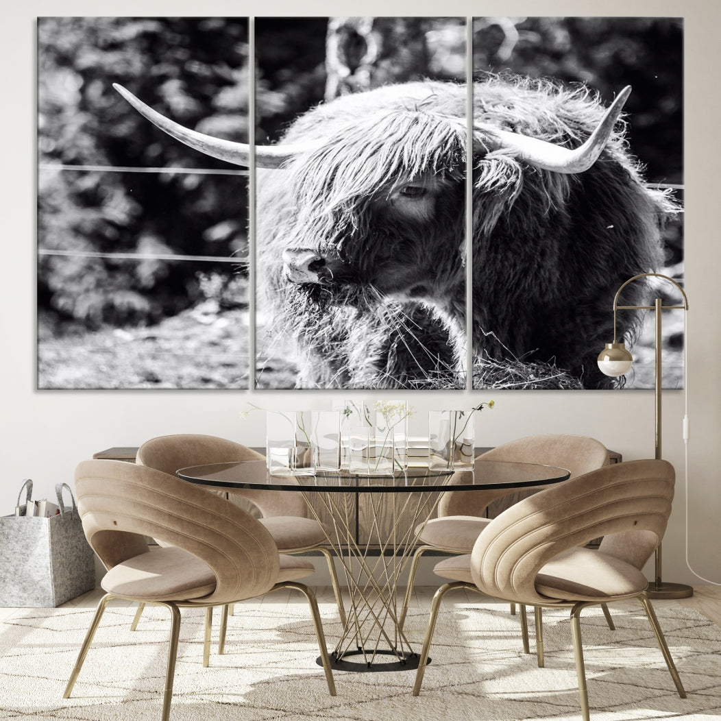 Black and White Highland Cow Canvas Wall Art Print Nature Photograph Canvas Art Large Cow Print Panel Canvas Set