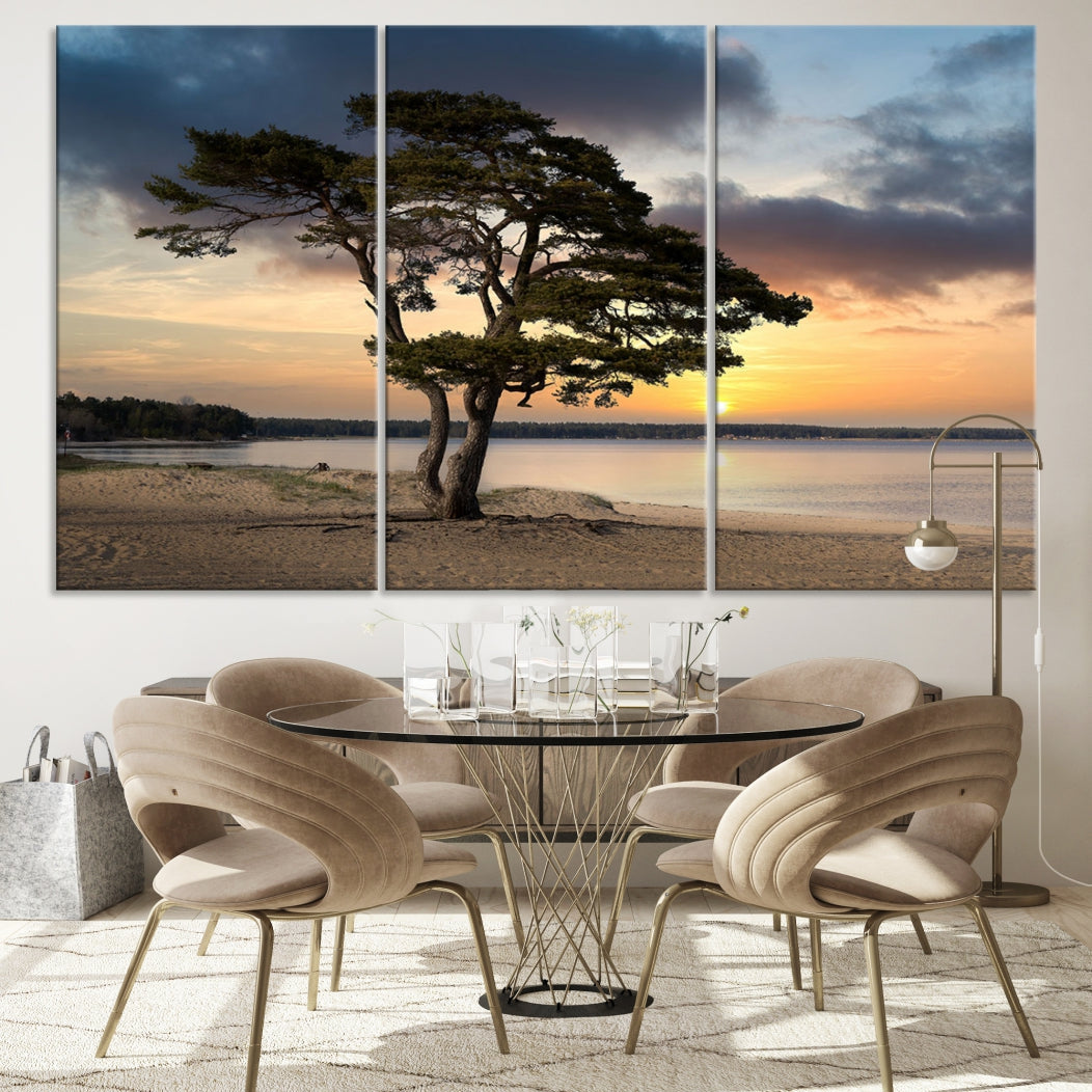 Big Tree Beach Coastal Sunset Wall Art Canvas Print Framed