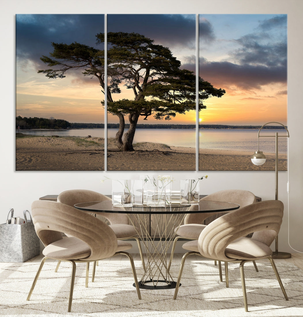 Big Tree Beach Coastal Sunset Wall Art Canvas Print Framed