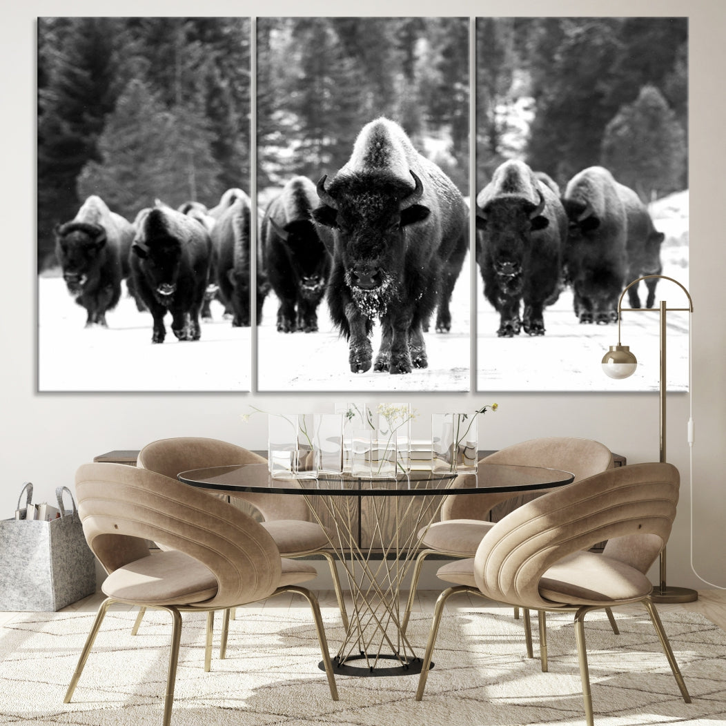 Buffalo Herd Wall Art Canvas Print, Bison Canvas Print