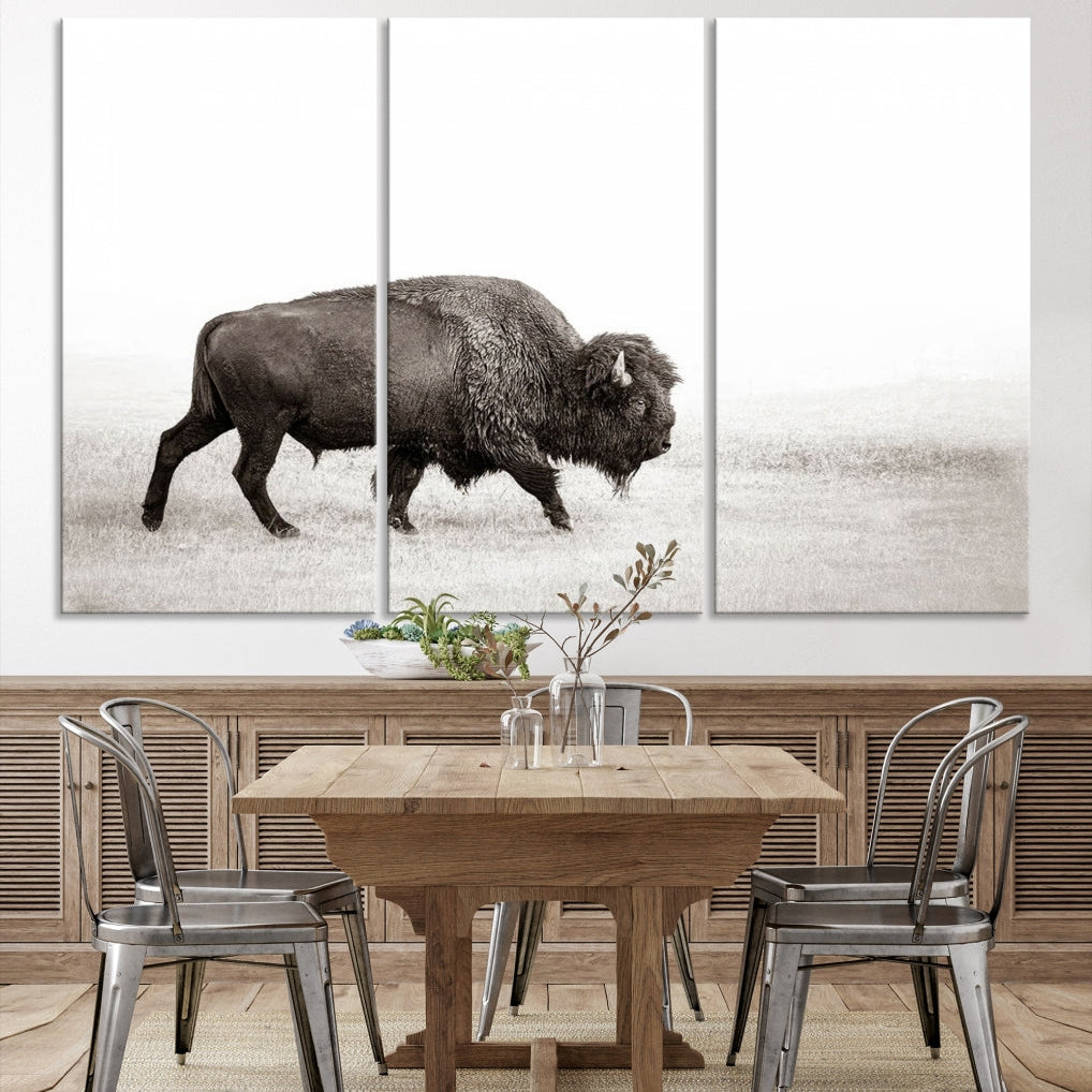 Alone Bison Wall Art Canvas Print, Cow Wall Art, Buffalo Artwork