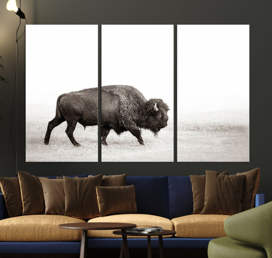 Alone Bison Wall Art Canvas Print, Cow Wall Art, Buffalo Artwork