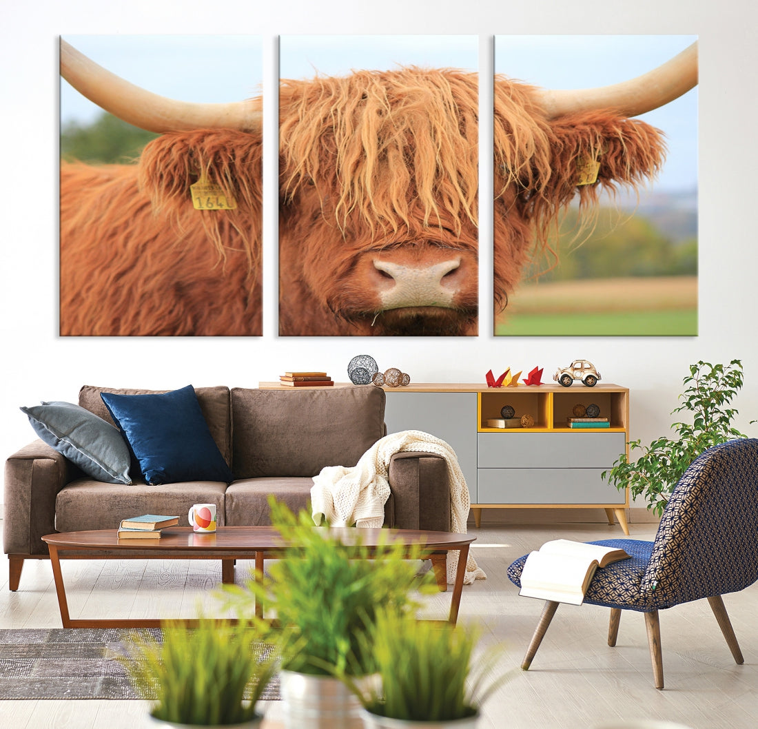 Highland Cow Close-up Canvas Wall Art Print Multi Panel Extra Large Canvas Set Framed Ready to Hang Artwork