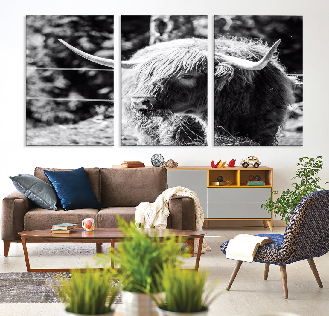 Black and White Highland Cow Canvas Wall Art Print Nature Photograph Canvas Art Large Cow Print Panel Canvas Set