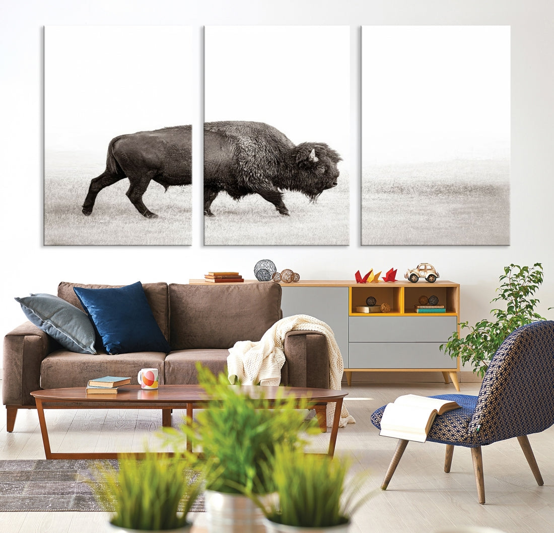 Alone Bison Wall Art Canvas Print, Cow Wall Art, Buffalo Artwork