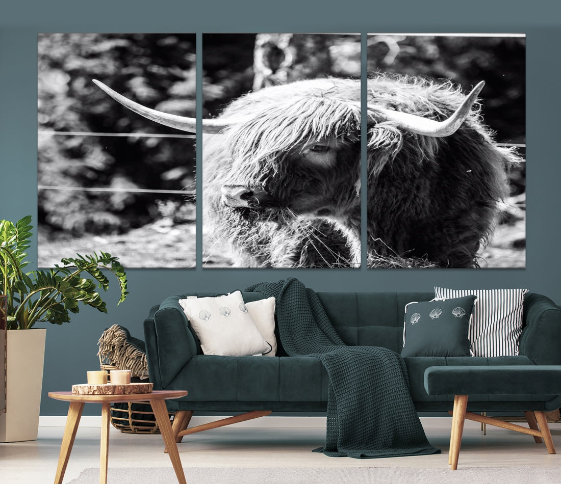 Black and White Highland Cow Canvas Wall Art Print Nature Photograph Canvas Art Large Cow Print Panel Canvas Set