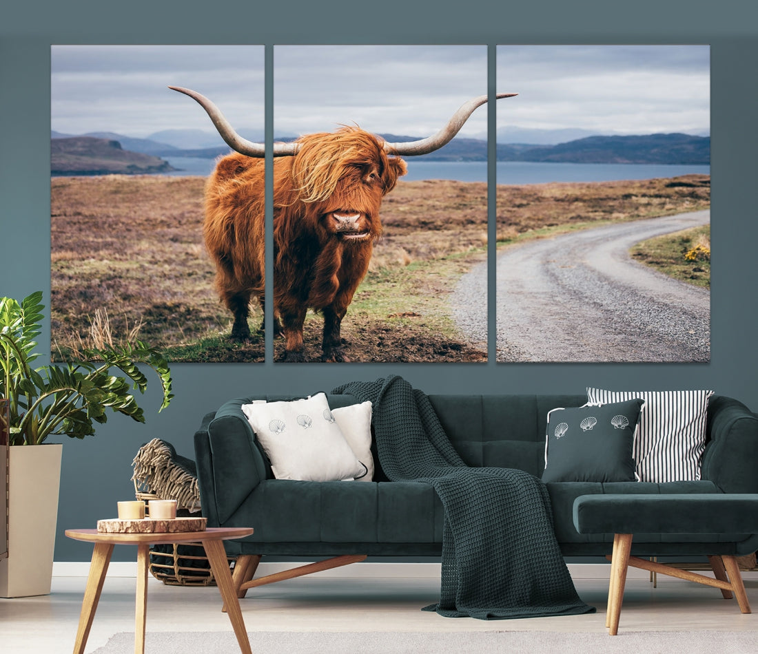 Big Horn Highland Cow Canvas Wall Art Print Animal Photograph Art Canvas