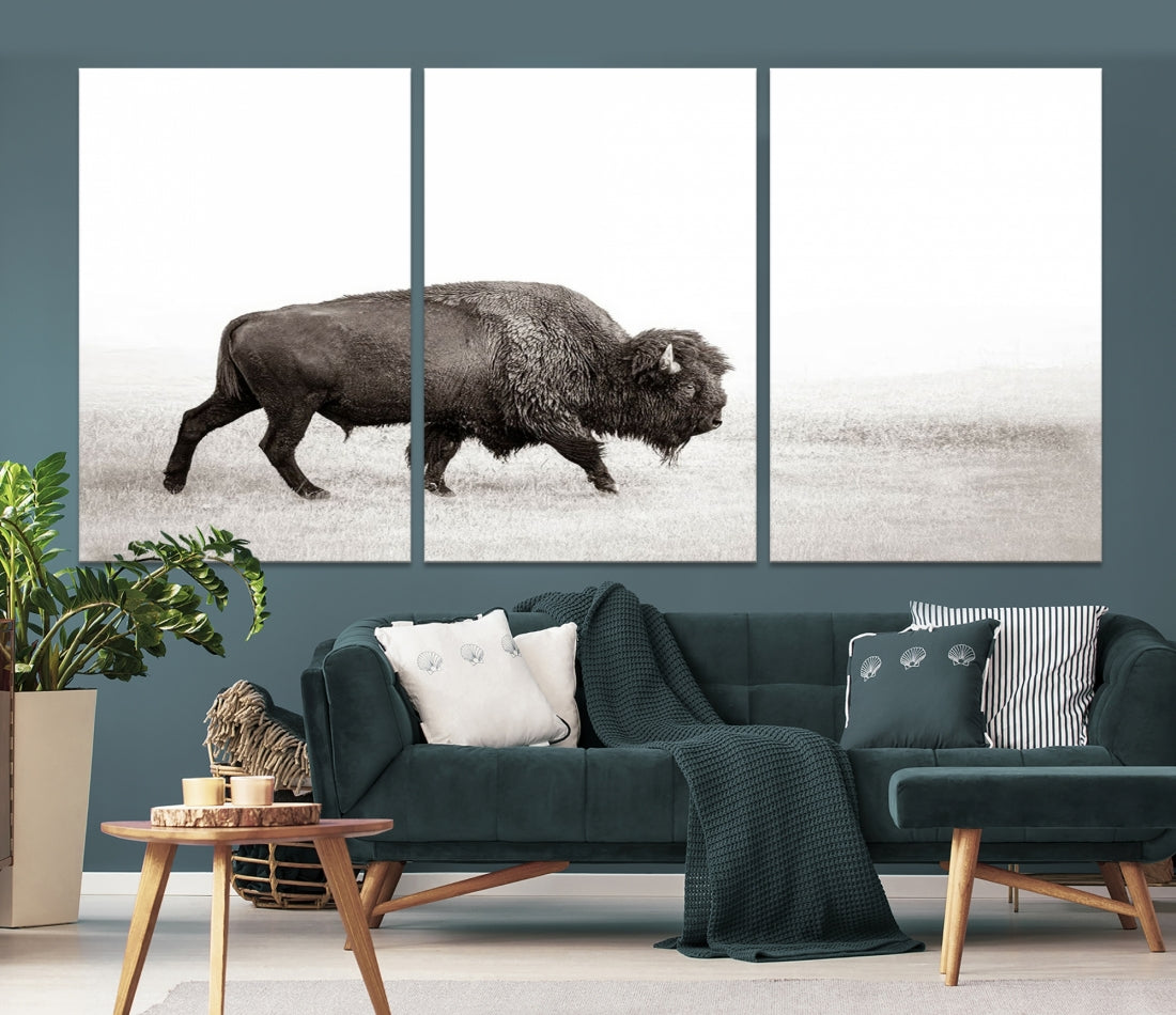 Alone Bison Wall Art Canvas Print, Cow Wall Art, Buffalo Artwork